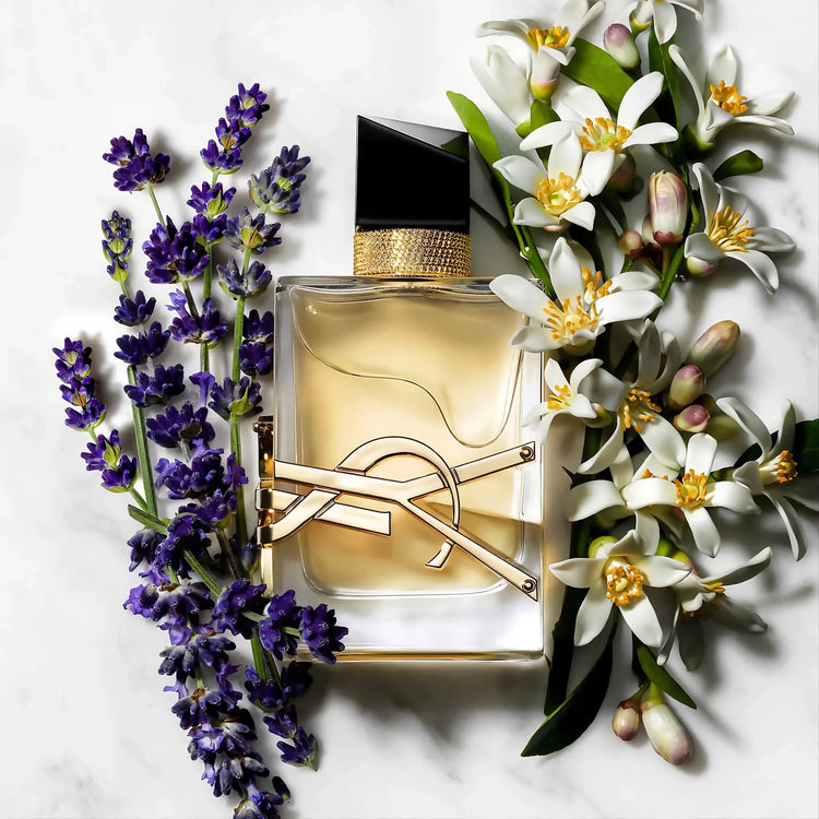 YSL collection